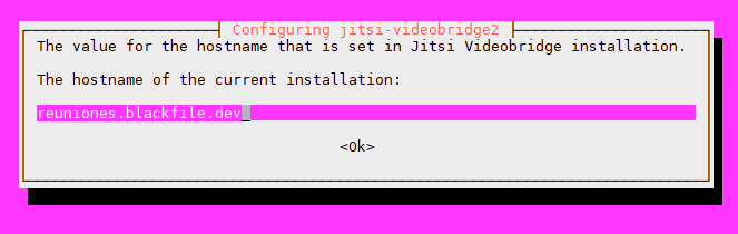 Ingresar Hostname
